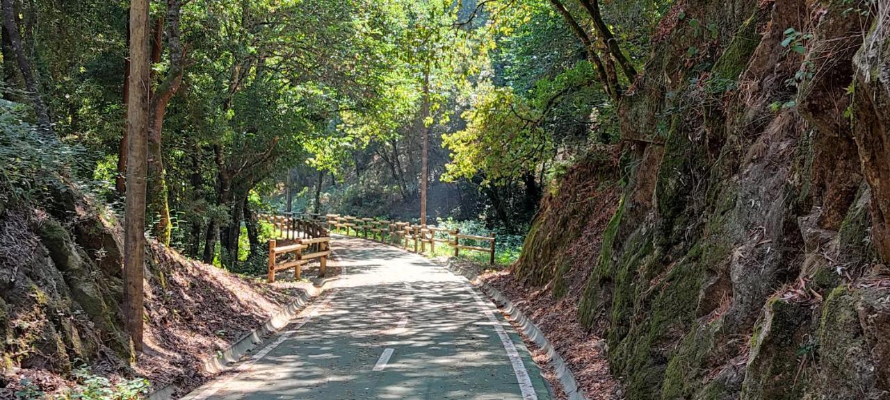 부젤라 Casa Dos Avos 빌라 외부 사진